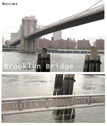 b0011793_19345145.jpg