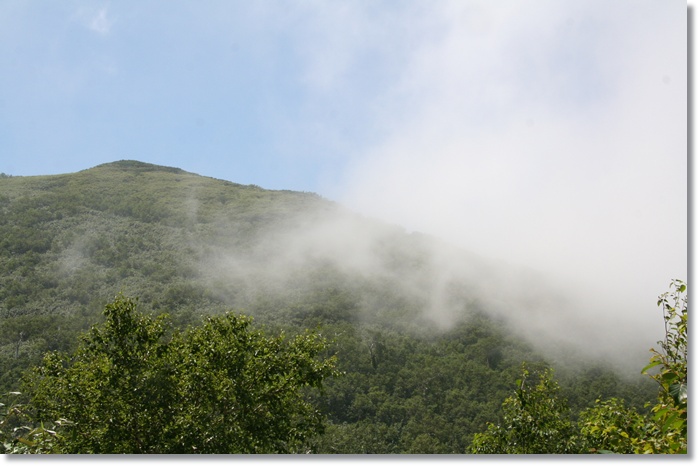 f0146493_072016.jpg