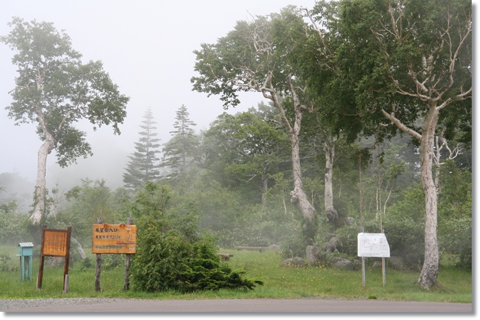 f0146493_08207.jpg