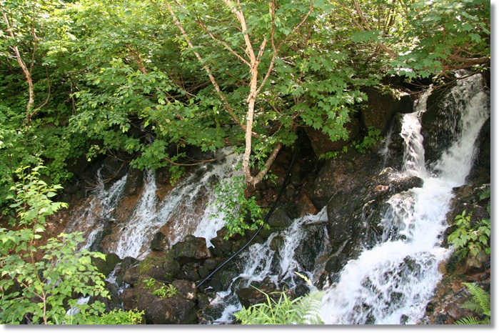 f0146493_085688.jpg