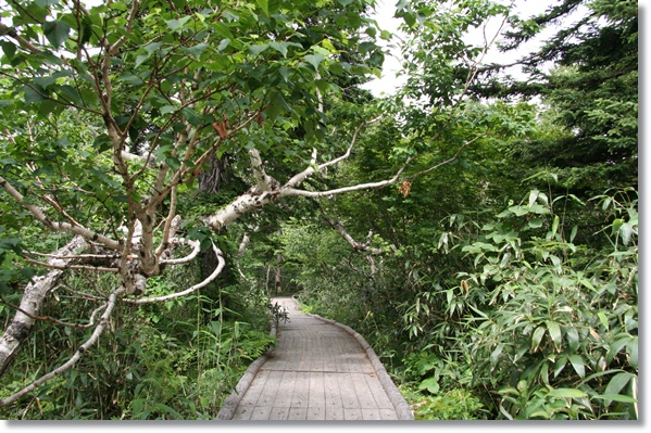 f0146493_08765.jpg