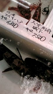 f0084695_1720718.jpg