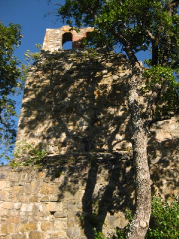 c0180096_71381.jpg