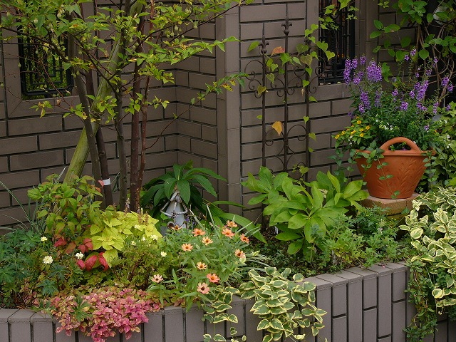 a0123003_13291963.jpg