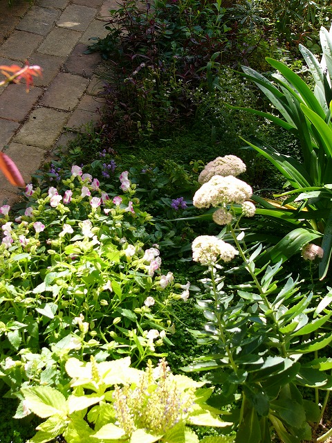 a0123003_14432297.jpg