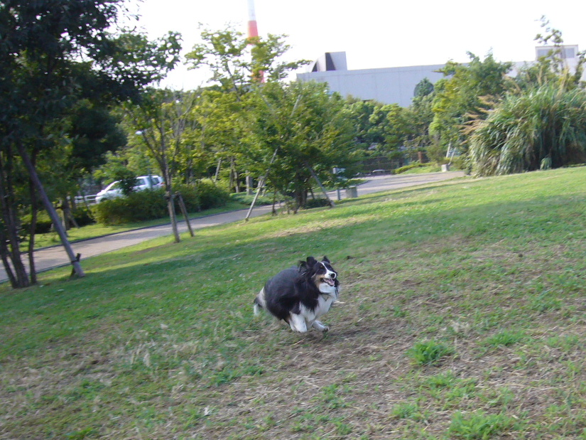 e0130008_19153954.jpg