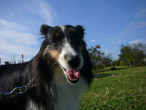 e0130008_19155582.jpg