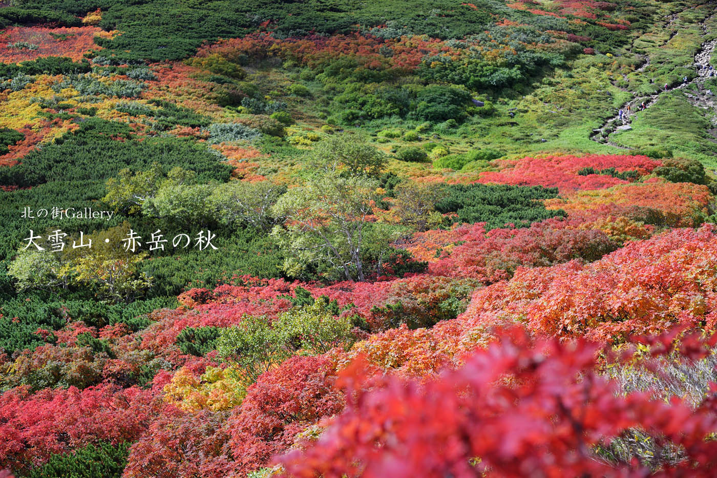 大雪山　赤岳_c0073613_23151314.jpg