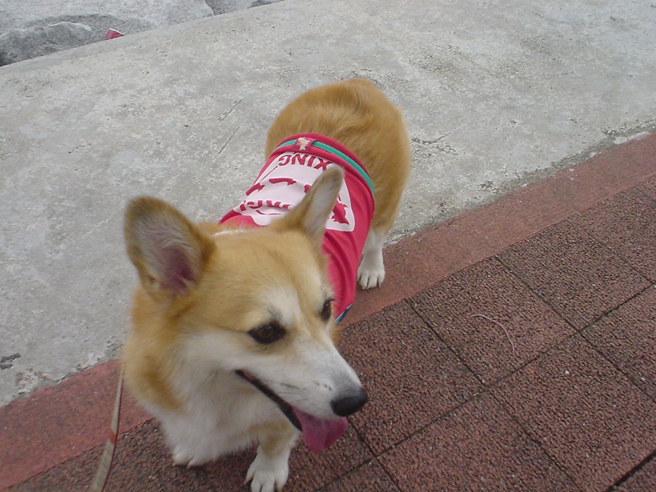 c0150520_16462030.jpg