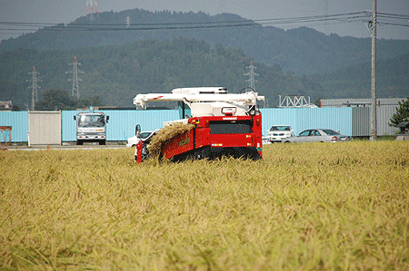 b0178923_1924182.gif