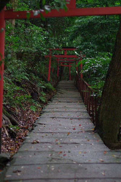 f0007926_15402787.jpg