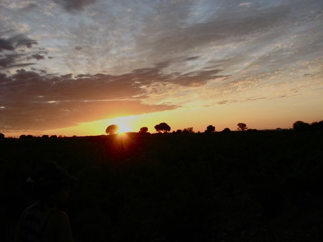 c0188527_65027100.jpg