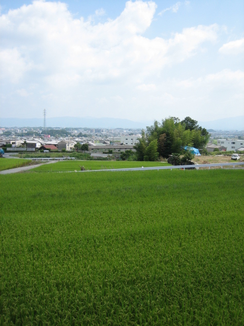 d0135633_1511283.jpg