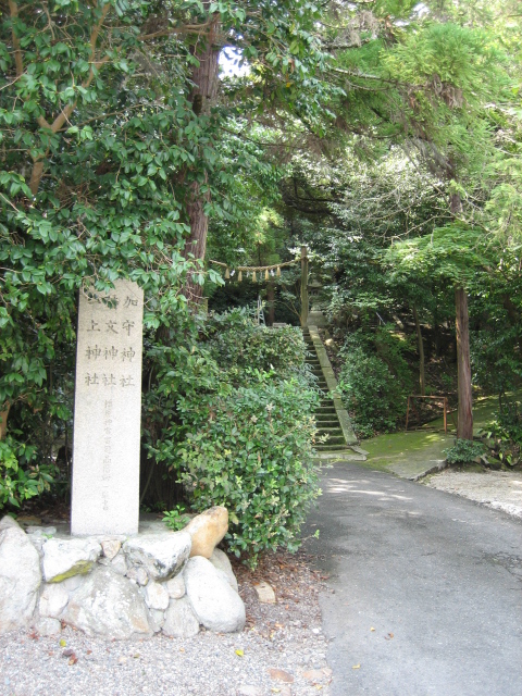 d0135633_1513820.jpg