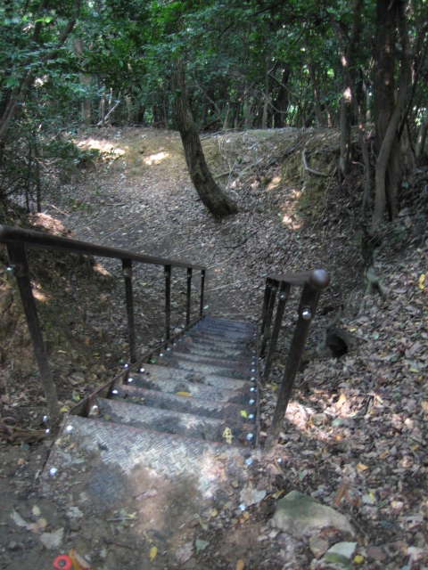 d0135633_15162526.jpg