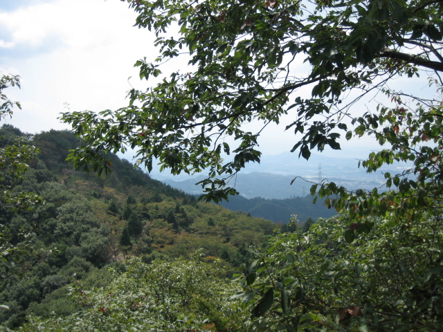 d0135633_15212876.jpg