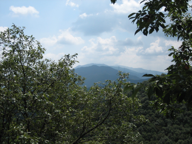 d0135633_1522192.jpg