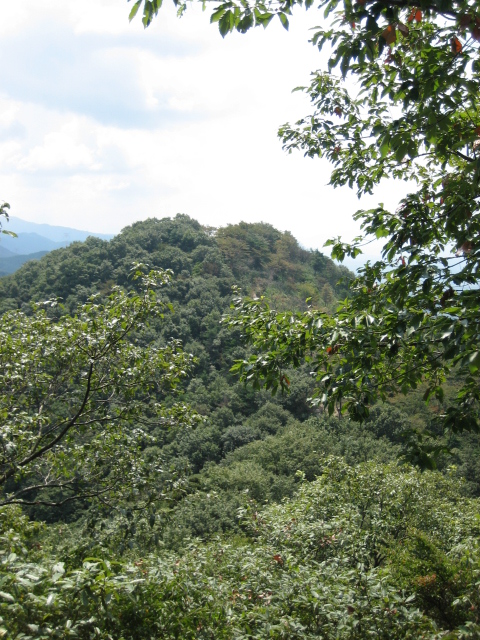d0135633_15223462.jpg