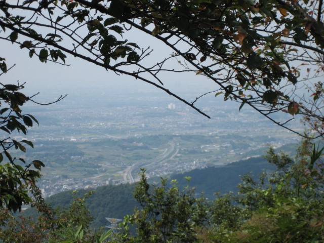 d0135633_15252613.jpg