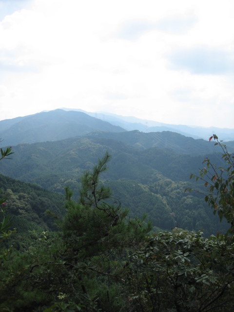 d0135633_15262059.jpg
