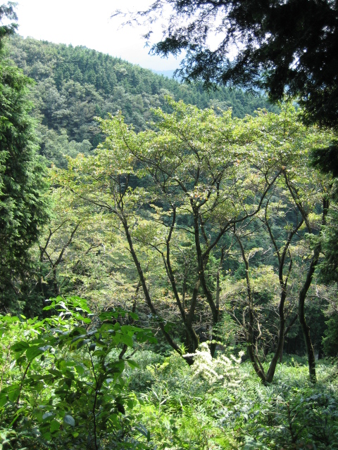 d0135633_15274717.jpg