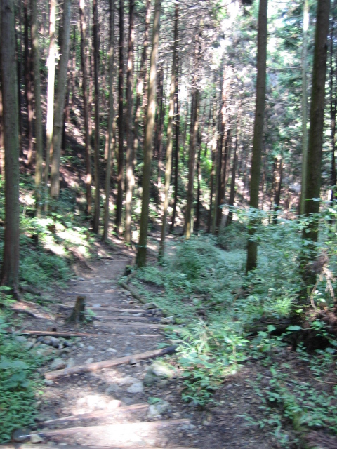 d0135633_15291280.jpg