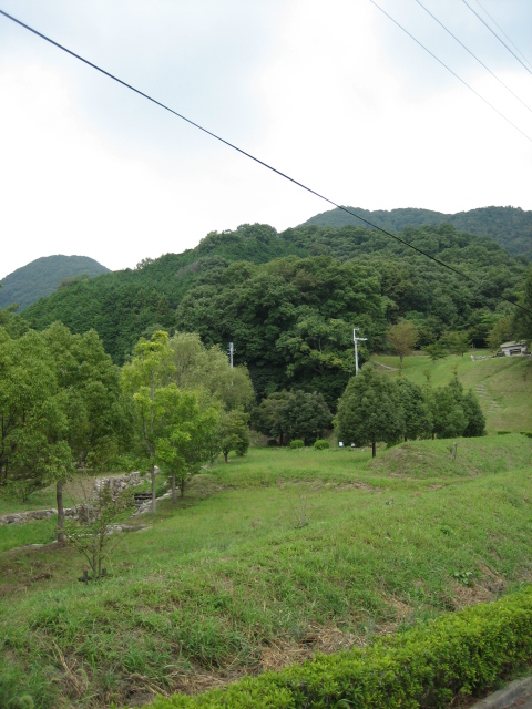 d0135633_15354795.jpg