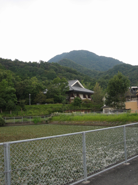 d0135633_15393677.jpg