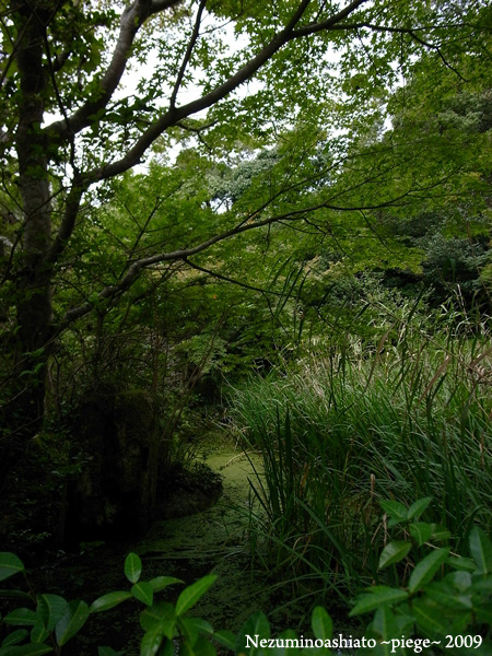 f0184339_23284294.jpg
