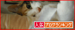 c0194042_16272317.gif