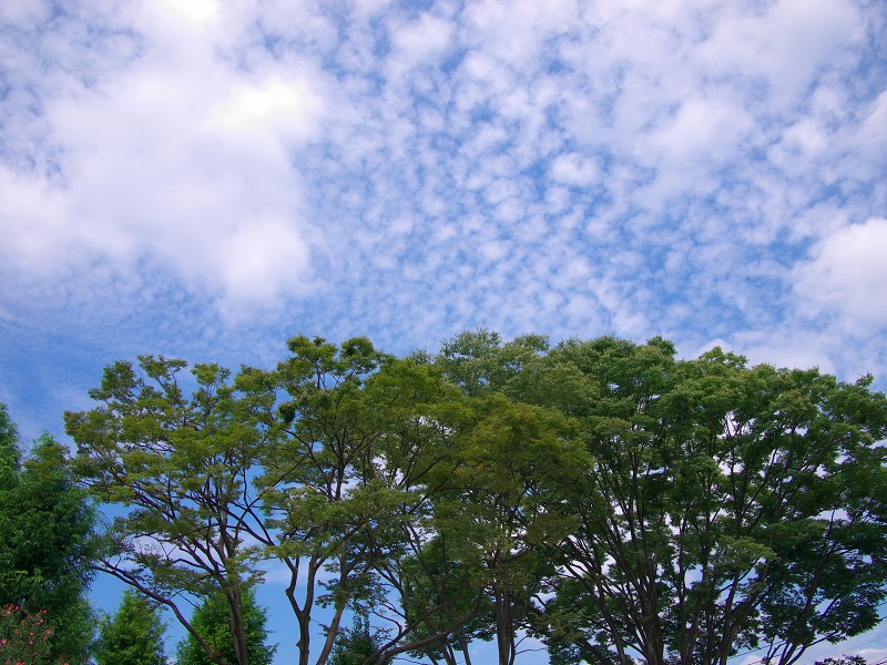 f0002946_23443393.jpg
