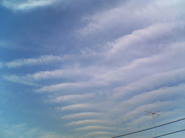 d0124952_9472712.jpg