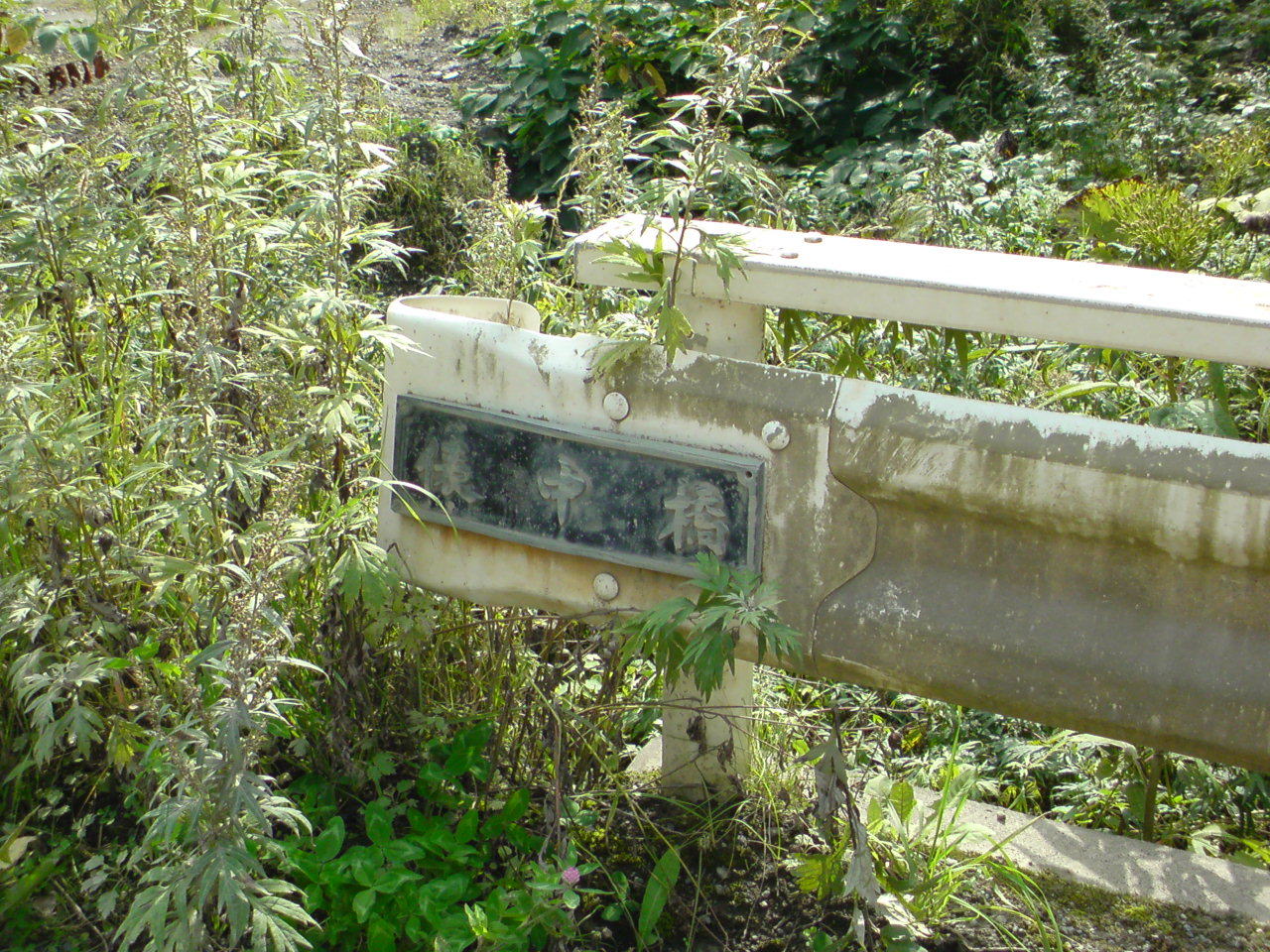 f0001254_13244831.jpg