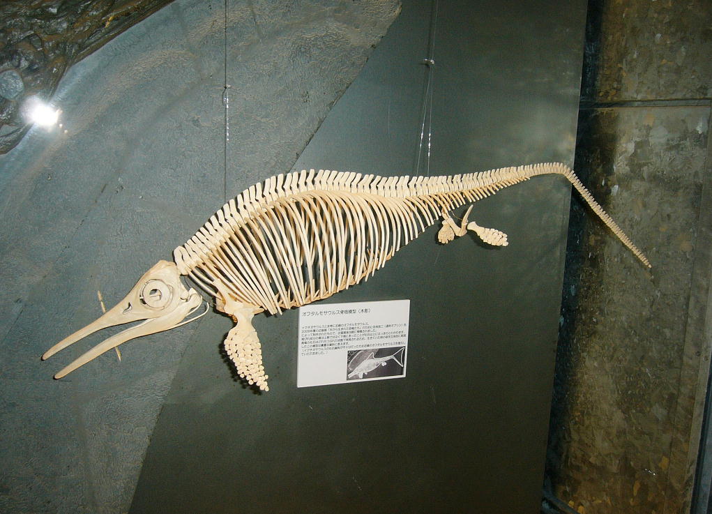 e0064457_19463818.jpg