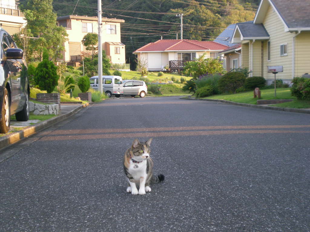2009年9月18日(金)幸せはシャンソニア劇場から!_f0060461_11473060.jpg