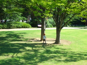c0072572_5414476.jpg