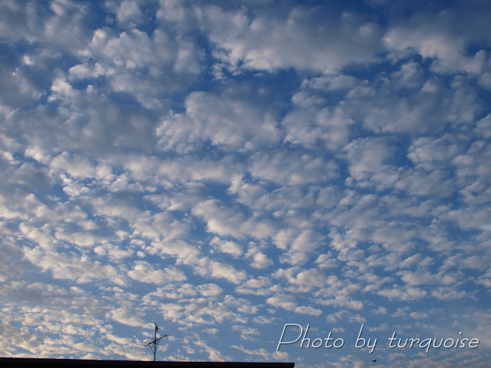 c0201284_1161526.jpg