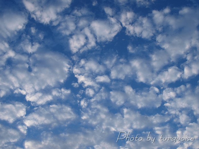 c0201284_1171237.jpg
