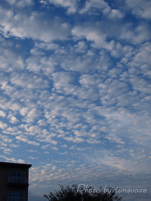 c0201284_1172831.jpg