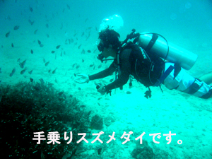 癒し系だよラチャイ島☆_f0144385_194604.jpg