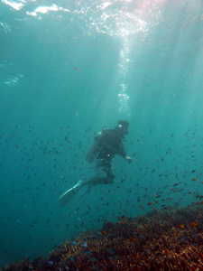 癒し系だよラチャイ島☆_f0144385_19465025.jpg