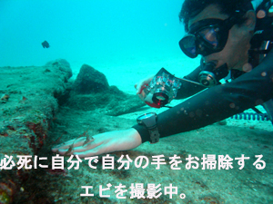 癒し系だよラチャイ島☆_f0144385_19472219.jpg