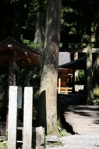 d0133693_20464778.jpg