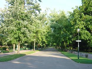 b0183295_17342233.jpg