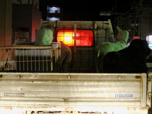 c0173697_32578.jpg
