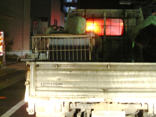 c0173697_36658.jpg