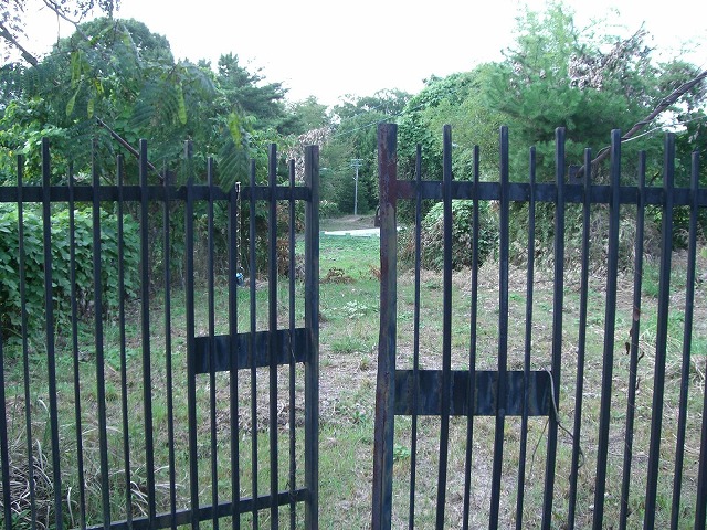 c0147398_23554735.jpg