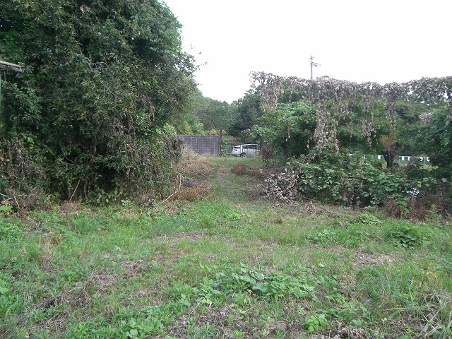 c0147398_2356137.jpg