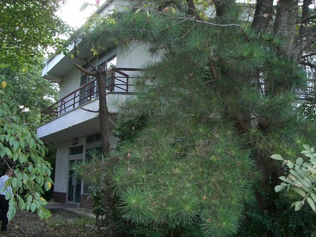 c0147398_23561457.jpg