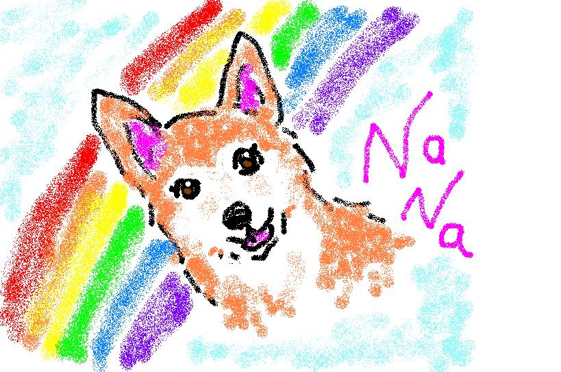 Wanself の　ナナちゃん　/　RIP, Nana, our doggy friend_a0032004_1747426.jpg
